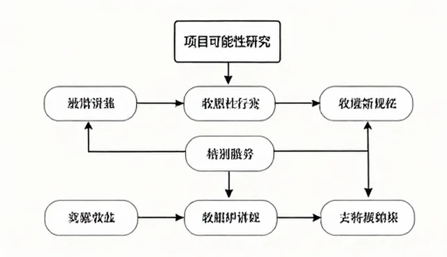 项目咨询中的分析重点与误区澄清