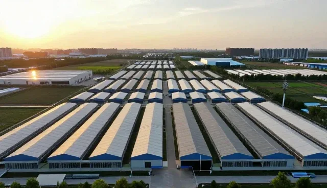 市场调研在项目咨询中的关键作用与实际应用